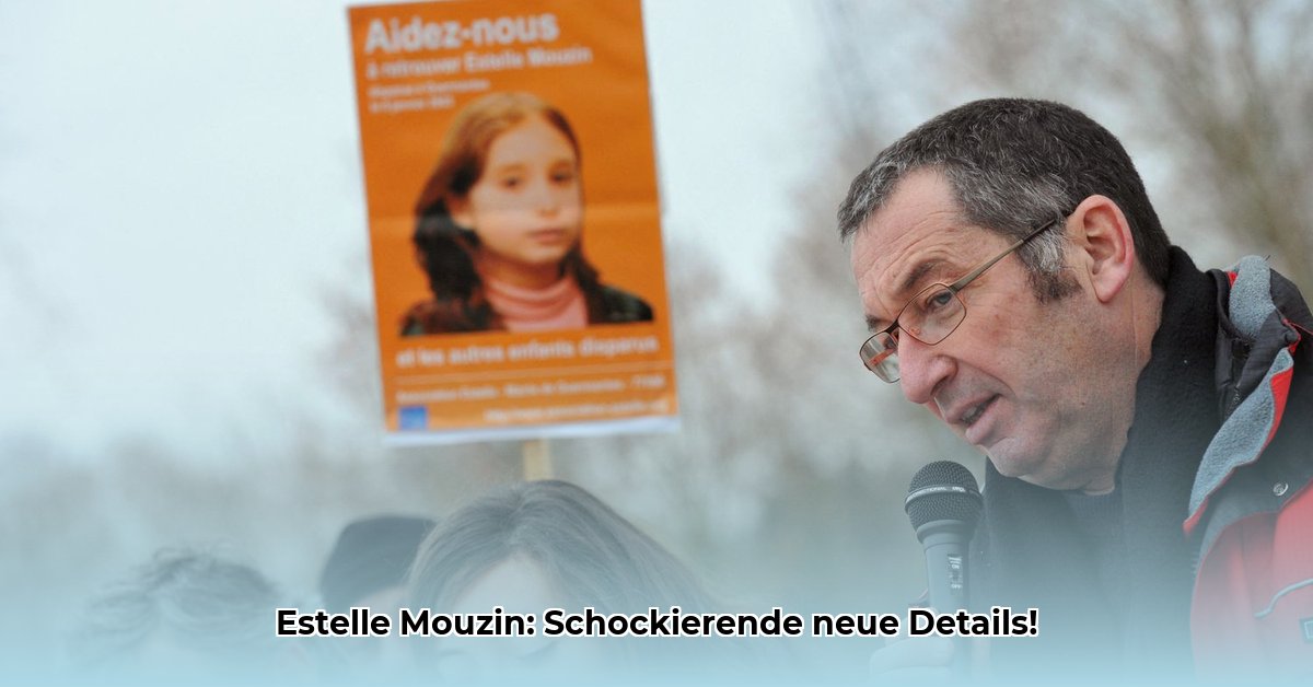 affaire-estelle-mouzin